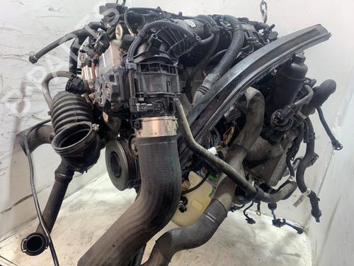Used Engine Engine 36921781 36921781