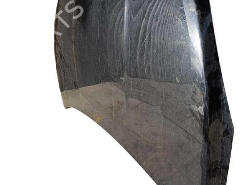 Used Hood Hood 38218538 38218538