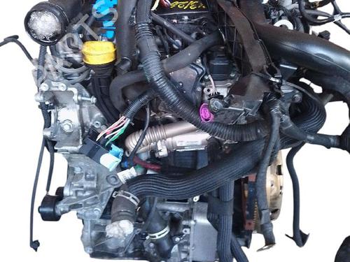 Used Engine Engine 38556011 38556011