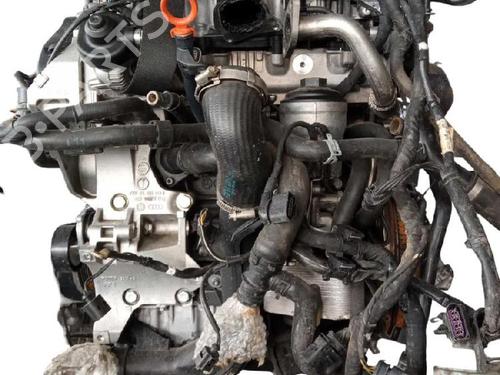 Engine VW GOLF VI (5K1) 2.0 TDI | BP38208333M1 - Image 4