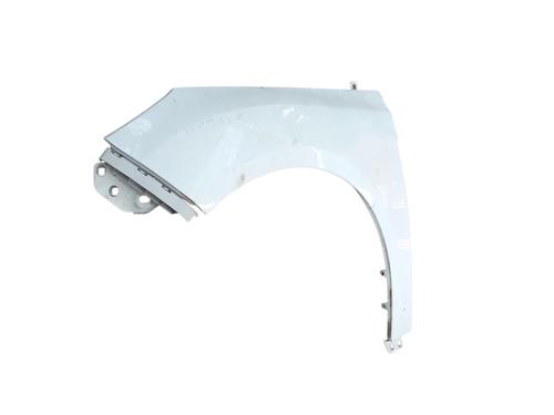 left-front-fenders-ford-focus-iii-2010-2011-2012-2013-2014-2015-2016-2017-2018-2019-2020-38207872 main image
