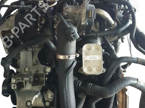 Engine AUDI A1 (8X1, 8XK) 1.6 TDI | BP38554823M1 - Image 2
