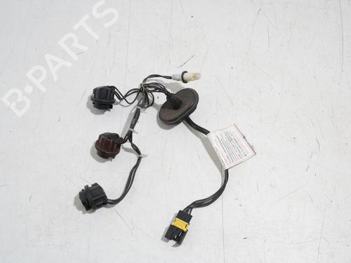 Used Cable Cable CITROËN C6 (TD_) 2.7 HDi (204 hp) 36620334 36620334
