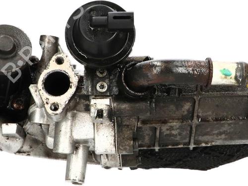 Used Egr Egr 36624637 36624637