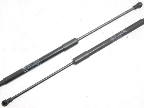tailgate-lift-support-citroen-c3-iii-sx-2016-36612529 main image