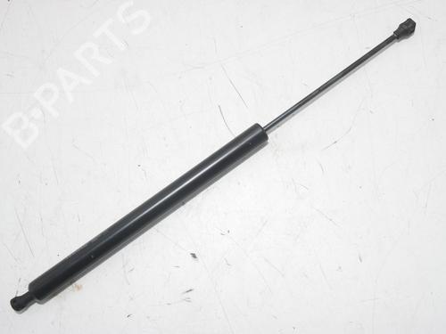 tailgate-lift-support-peugeot-partner-box-bodympv-2008-36601708 main image