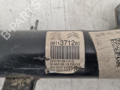 Left front shock absorber CITROËN C3 III (SX) 1.2 PureTech 82 | BP40455776M16  - Image 6
