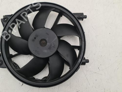 radiator-fan-citroen-c5-iii-break-rw_-2008-2009-2010-2011-2012-2013-2014-2015-2016-2017-36624656 main image