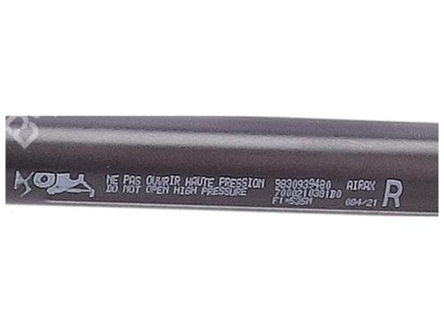 tailgate-lift-support-ds-ds-4-ii-fr_-fb_-f3_-fp_-2021-36628901 main image