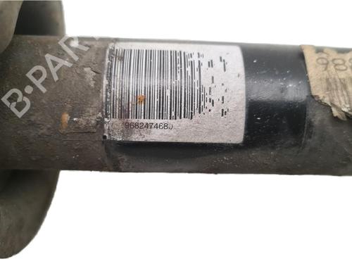 Used Left rear shock absorber Left rear shock absorber 36622834 36622834