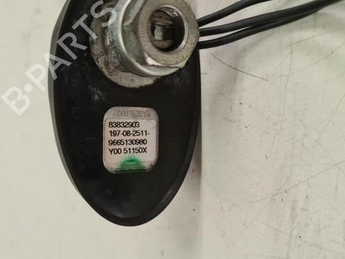 Antenne/Base Antenne/Base 36624730 36624730