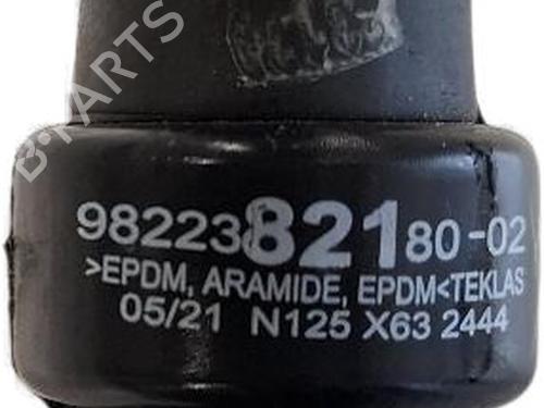 Pipe DS DS 4 II (FR_, FB_, F3_, FP_) E-TENSE 225 (F3DGZT) | BP36637166M125 - Image 2