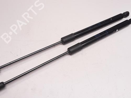 tailgate-lift-support-citroen-c3-aircross-ii-2r_-2c_-2017-36616264 main image