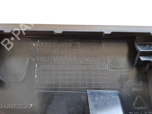 Mittelkonsole für Mittelkonsole DS DS 4 II (FR_, FB_, F3_, FP_) BlueHDi 130 (FBYHZT) (130 hp) 36632807 36632807