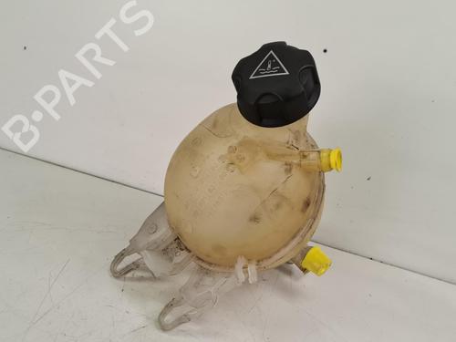 Used Expansion tank Expansion tank PEUGEOT 207 (WA_, WC_) 1.4 16V (95 hp) 36624995 36624995