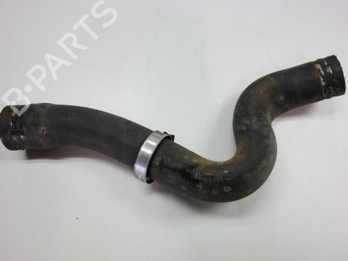 Pipe CITROËN C5 III Break (RW_) 2.0 HDi 165 | BP36639094M125 - Image 3