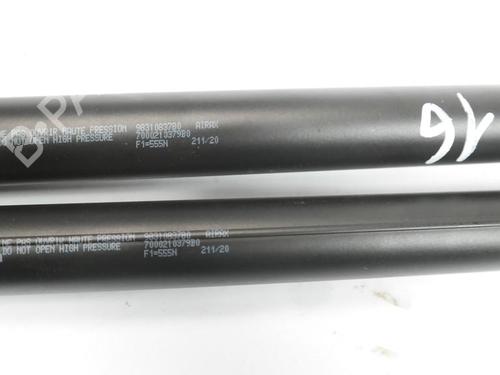 tailgate-lift-support-citroen-c4-iii-ba_-bb_-bc_-2020-36623894 main image