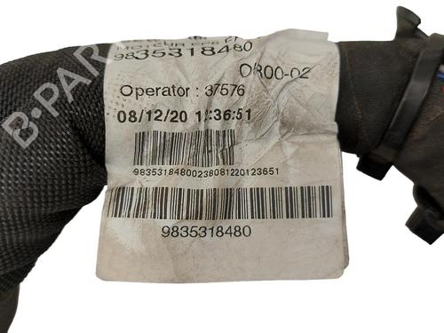 Wiring harness DS DS 4 II (FR_, FB_, F3_, FP_) Hybrid 136 (FPHPYC) | BP36630948E16 - Image 2