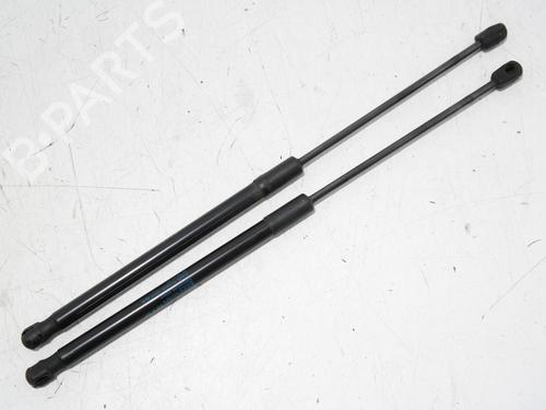 tailgate-lift-support-citroen-ds4-nx_-2011-2012-2013-2014-2015-36615867 main image