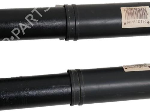 Used Left rear shock absorber Left rear shock absorber 36616240 36616240