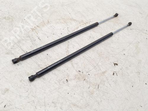 tailgate-lift-support-citroen-c5-iii-break-rw_-2008-2009-2010-2011-2012-2013-2014-2015-2016-2017-36639132 main image
