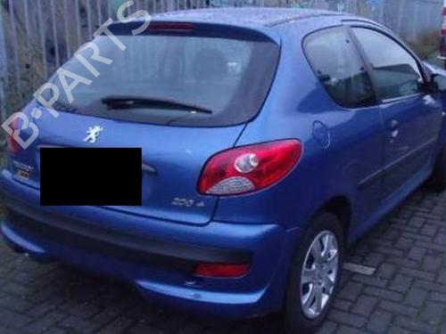 Pipe PEUGEOT 206+ (2L_, 2M_) 1.1 | BP36602700M125 - Image 14