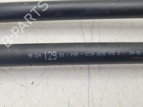Pipe DS DS 4 II (FR_, FB_, F3_, FP_) E-TENSE 225 (F3DGZT) | BP36682673M125 - Image 6