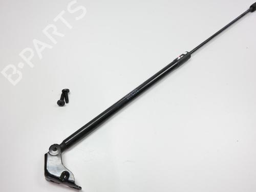 tailgate-lift-support-citroen-c4-grand-picasso-ii-da_-de_-2013-36616659 main image