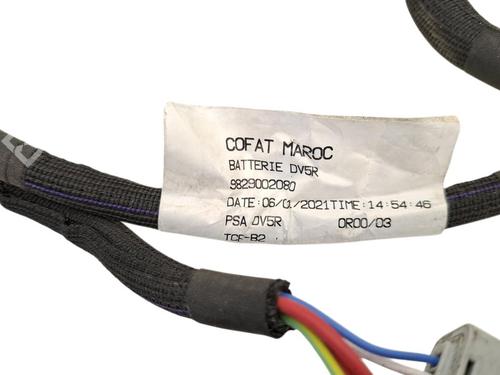 Cable DS DS 4 II (FR_, FB_, F3_, FP_) BlueHDi 130 (FBYHZT) | BP36637698E12 - Image 7