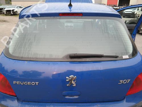 Dashboard PEUGEOT 307 (3A/C) 1.6 16V | BP36610447C46 - Image 3