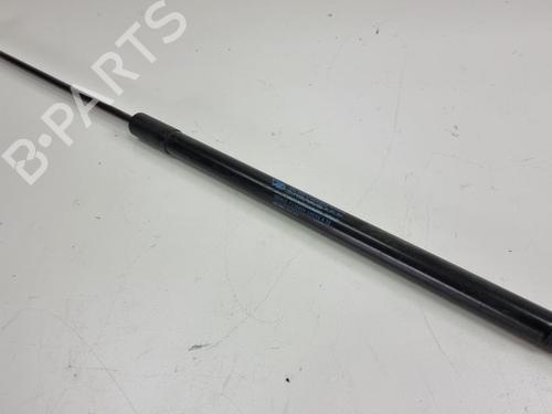 tailgate-lift-support-citroen-c4-picasso-i-mpv-ud_-2006-2007-2008-2009-2010-2011-2012-2013-2014-2015-36623004 main image