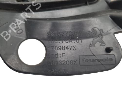 Grill PEUGEOT 2008 I (CU_) 1.2 THP 130 / PureTech 130 | BP36634230C40 - Image 3