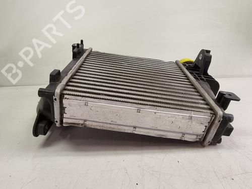 Intercooler PEUGEOT PARTNER Box Body/MPV (K9) 1.6 BlueHDI 100 | BP36622880M30 - Image 6