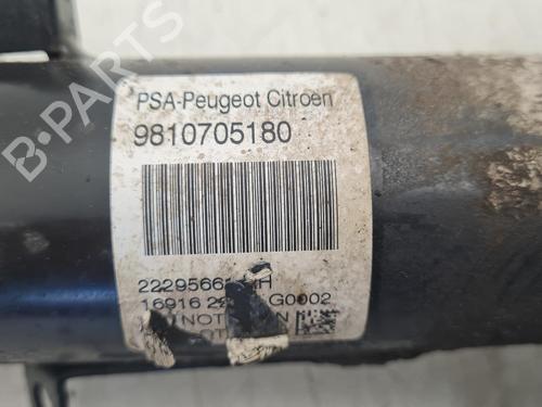 BP36638706M17 main image