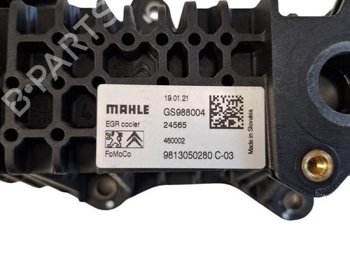 Egr DS DS 4 II (FR_, FB_, F3_, FP_) BlueHDi 130 (FBYHZT) | BP36637568M69 - Image 5