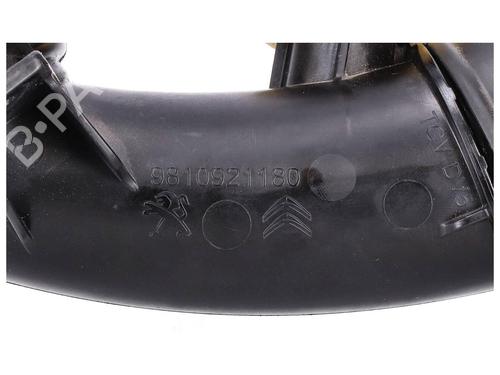 Pipe DS DS 4 II (FR_, FB_, F3_, FP_) BlueHDi 130 (FBYHZT) | BP36629716M125 - Image 8