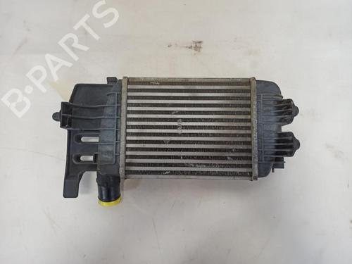 Intercooler Intercooler TOYOTA YARIS (_P9_) 1.4 D-4D (NLP90_, NLP90R) (90 hp) 37381578 37381578