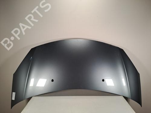 hood-citroen-ds3-sa_-2009-2010-2011-2012-2013-2014-2015-2016-37398425 main image