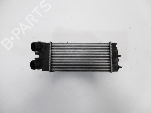 Intercooler Intercooler CITROËN XSARA PICASSO (N68) 1.6 HDi (109 hp) 37378696 37378696