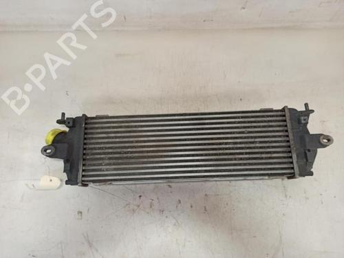 Intercooler RENAULT TRAFIC II Van (FL) 2.0 dCi 90 (FL0H, FL00, FL01, FL0M, FL0P, FL0S) | BP37382608M30 - Image 2