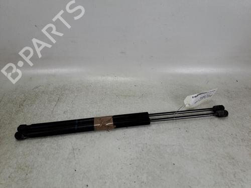 tailgate-lift-support-renault-scenic-ii-jm01_-2003-2004-2005-2006-2007-2008-2009-2010-37386031 main image