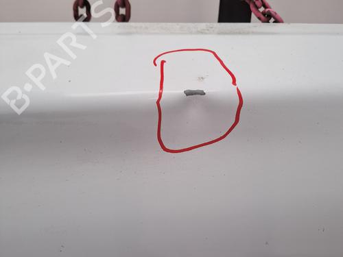 Right tailgate RENAULT TRAFIC II Van (FL) 2.0 dCi 90 (FL0H, FL00, FL01, FL0M, FL0P, FL0S) | BP37399839C77 - Image 4