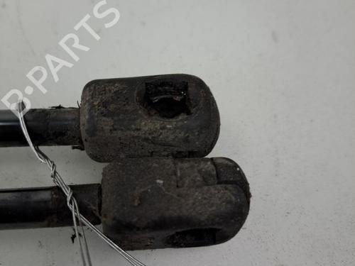 tailgate-lift-support-renault-scenic-ii-jm01_-2003-2004-2005-2006-2007-2008-2009-2010-37389083 main image