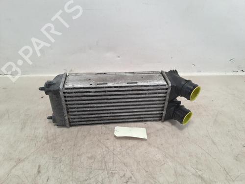 Intercooler Intercooler PEUGEOT 308 SW I (4E_, 4H_) 1.6 HDi (109 hp) 37383624 37383624