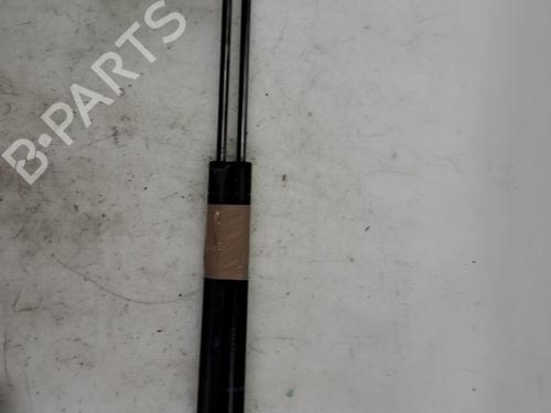 tailgate-lift-support-renault-scenic-ii-jm01_-2003-2004-2005-2006-2007-2008-2009-2010-37389328 main image