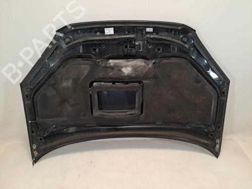 hood-toyota-rav-4-ii-_a2_-2000-2001-2002-2003-2004-2005-37391351 main image