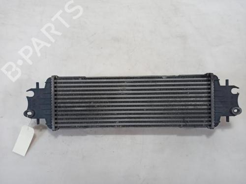 Intercooler RENAULT TRAFIC II Van (FL) | BP37380196M30 - Image 2