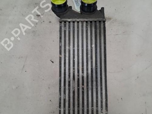 intercooler-citroen-c4-ii-nc_-2009-37387878 main image