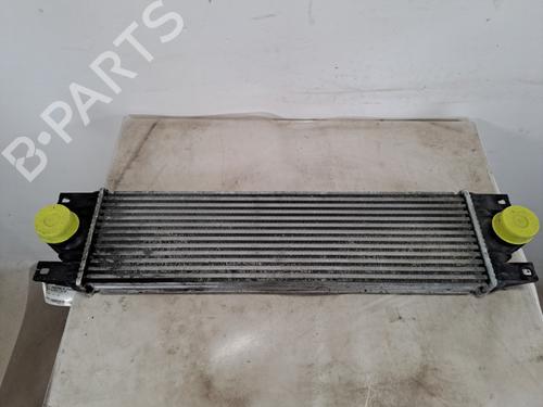 Intercooler Intercooler RENAULT MASTER II Bus (JD) [1997-2010] 37389101 37389101