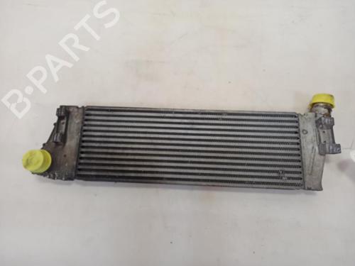 Intercooler Intercooler RENAULT SCÉNIC II (JM0/1_) [2003-2010] 37379379 37379379